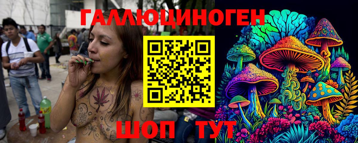 Псилоцибиновые грибы Psilocybe Ханты-Мансийск