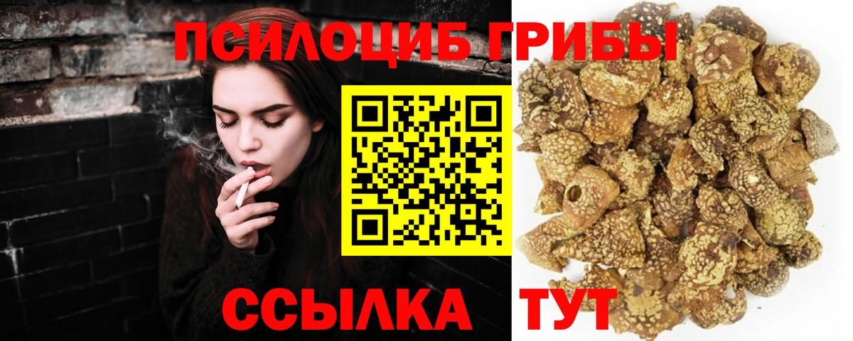 Псилоцибиновые грибы GOLDEN TEACHER  Вход с VPN  Ханты-Мансийск 